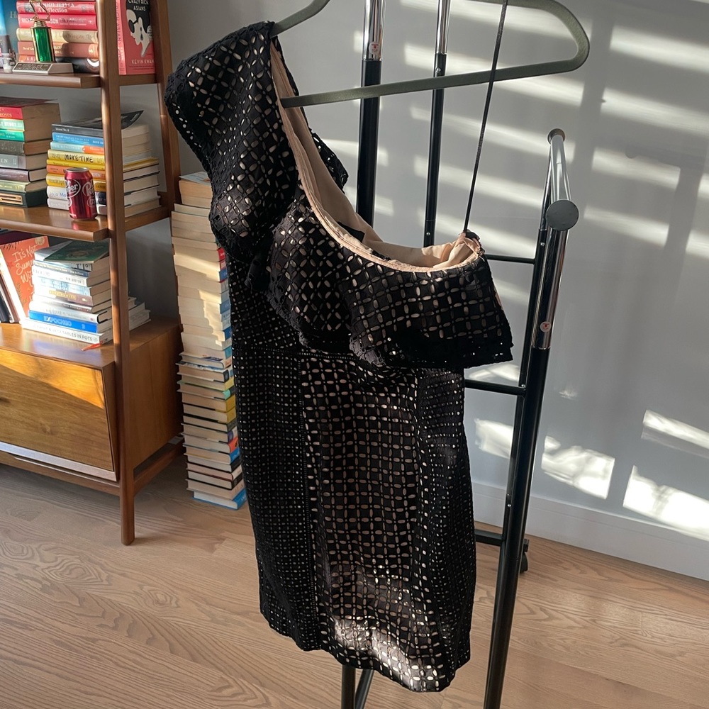 NWT J Crew Laser Cut Lace Dress (size 2)